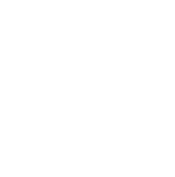 instagram-icon